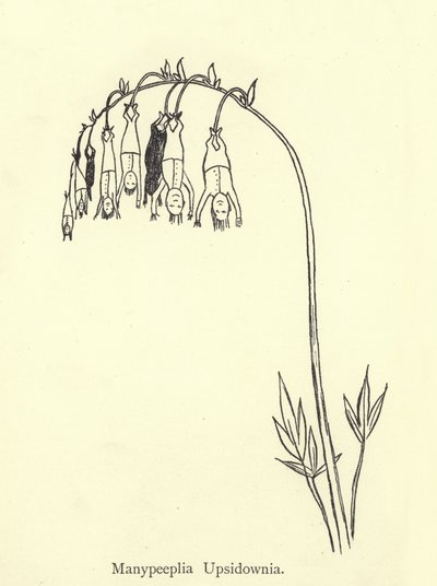 Manypeeplia Upsidownia da Edward Lear